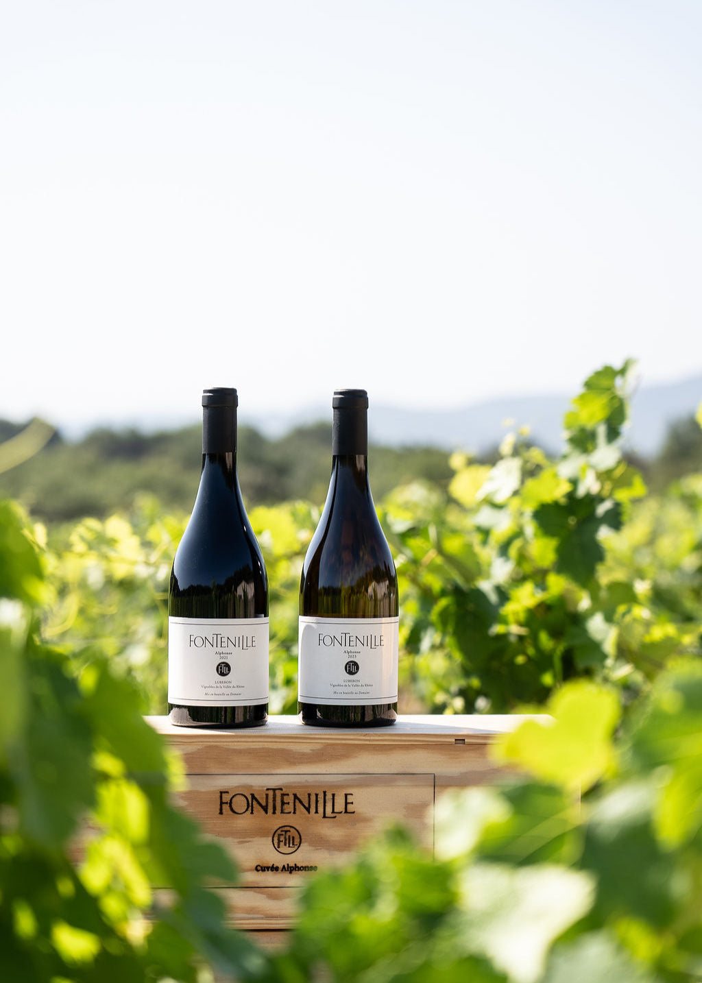 Coffret 1 bouteille — Domaine Fontenille